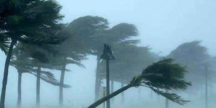 নদীবন্দরগুলোতে সতর্ক সংকেত, ১৪ জেলায় ঝড়ের আভাস