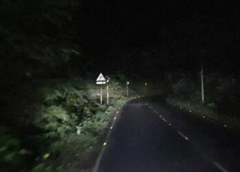 সড়কে গাছ ফেলে যানবাহনে ভয়াবহ ডাকাতি