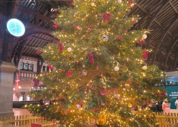 বড়দিনের উৎসবকে ঘিরে বর্ণিল আলোকসজ্জায় মেতেছে ড্যানিশরা