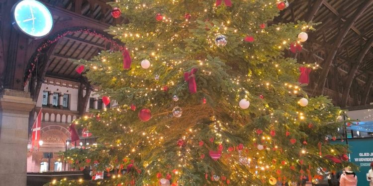 বড়দিনের উৎসবকে ঘিরে বর্ণিল আলোকসজ্জায় মেতেছে ড্যানিশরা
