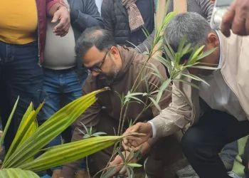 পূর্বাচলে ক্ষতিগ্রস্ত স্থানে বিএনপির বৃক্ষরোপণ