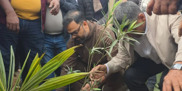 পূর্বাচলে ক্ষতিগ্রস্ত স্থানে বিএনপির বৃক্ষরোপণ