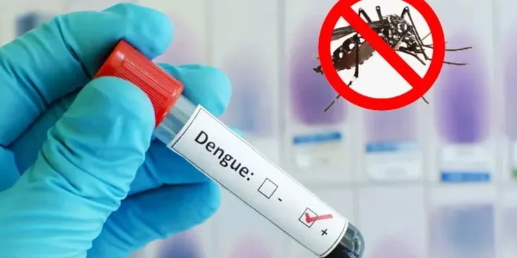 ডেঙ্গুতে আরো ৫ জনের মৃত্যু, হাসপাতালে ভর্তি ৩৮৭