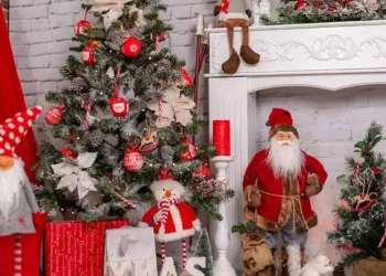 নানা আয়োজনে পালিত হচ্ছে বড়দিন