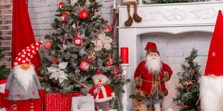 নানা আয়োজনে পালিত হচ্ছে বড়দিন