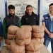 ৩৬ কেজি গাঁজাসহ যুবদল নেতা গ্রেপ্তার