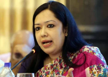 দল ব্যবস্থা নিলেও স্বতন্ত্র নির্বাচন করবো: রুমিন ফারহানা