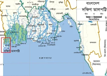 জিয়া, তালপট্টি এবং অমীমাংসিত ইতিহাস