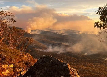 তীব্র তাপপ্রবাহে অস্ট্রেলিয়ায় ভয়াবহ দাবানলের আশঙ্কা, সর্বোচ্চ সতর্কতা জারি