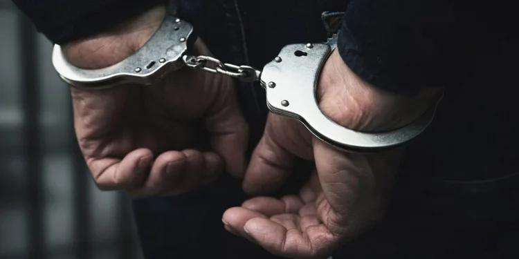 পল্লবীতে বিদেশি পিস্তল-গুলিসহ যুবক আটক