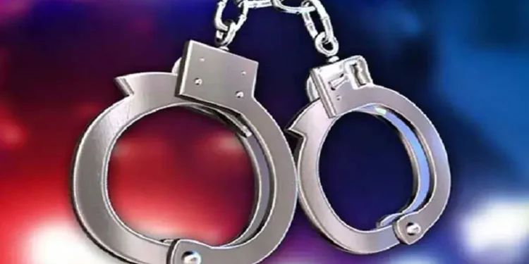 অপারেশন ডেভিল হান্ট ফেইজ-২: রাজধানীতে গ্রেপ্তার ২৯