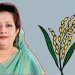 ঝালকাঠি-২ আসনে বিএনপির ইলেন ভূট্টো এগিয়ে