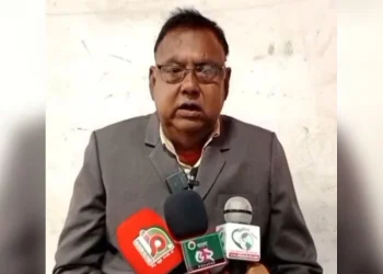 গণভোট মানে না বিএনপি, দলের নেতার মন্তব্য ভাইরাল