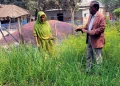 অনাবাদী আঙিনা এখন সবুজে ভরা, নারীদের হাতে বদলে যাচ্ছে গ্রাম