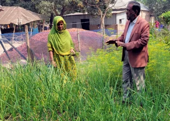 অনাবাদী আঙিনা এখন সবুজে ভরা, নারীদের হাতে বদলে যাচ্ছে গ্রাম