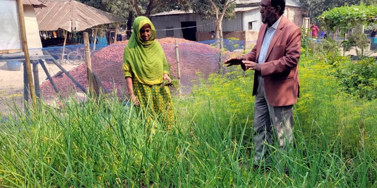 অনাবাদী আঙিনা এখন সবুজে ভরা, নারীদের হাতে বদলে যাচ্ছে গ্রাম