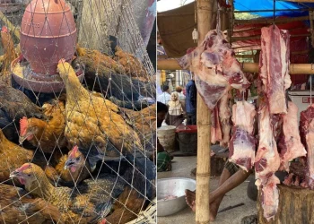 রোজায় যত টাকা কেজিতে গরু-মুরগির মাংস বিক্রি করবে সরকার