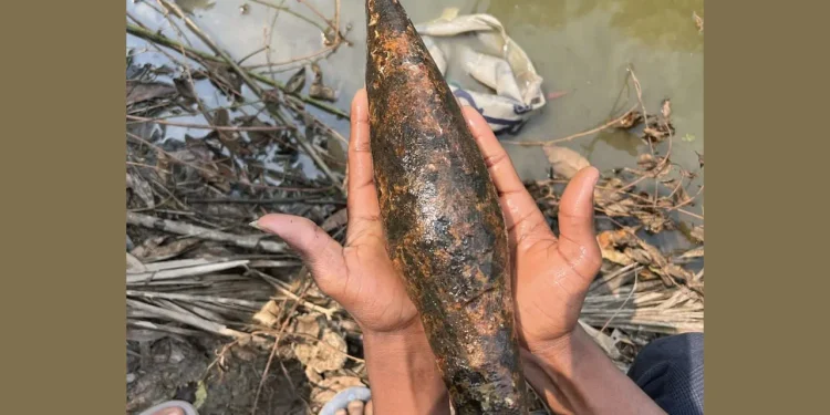 খাল খননের সময় মিলল মর্টার শেল, এলাকাজুড়ে আতঙ্ক