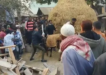 নওগাঁয় বিএনপি-জামায়াতের সংঘর্ষে আহত ১০