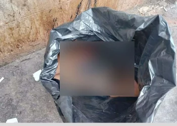 বায়তুল মোকাররম এলাকা থেকে মানুষের কাটা হাত-পা উদ্ধার