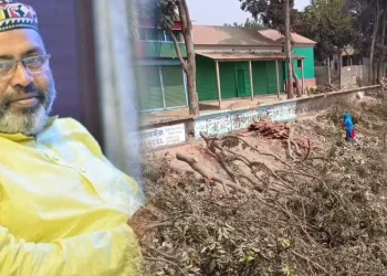 গাছ কাটা সেই বিএনপি নেতা গ্রেপ্তার