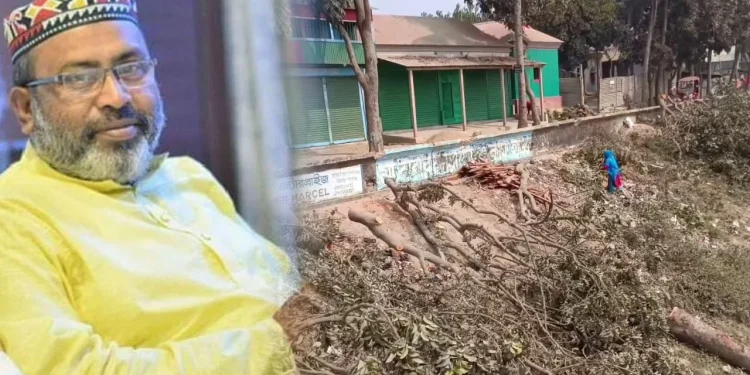 গাছ কাটা সেই বিএনপি নেতা গ্রেপ্তার