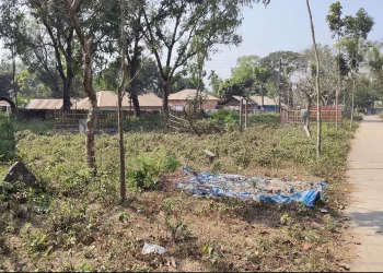 পঞ্চগড় কেন্দ্রীয় কবরস্থান যেন মাদকের আখড়া