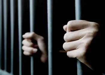 মহেশখালীতে জাল ভোটের অভিযোগে দুইজনের ২ বছর করে কারাদণ্ড