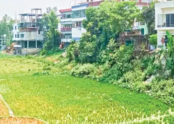 রায়গঞ্জে প্রভাবশালীদের দখলে অস্তিত্ব সংকটে গাঢ়ুদহ নদী