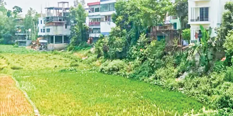 রায়গঞ্জে প্রভাবশালীদের দখলে অস্তিত্ব সংকটে গাঢ়ুদহ নদী