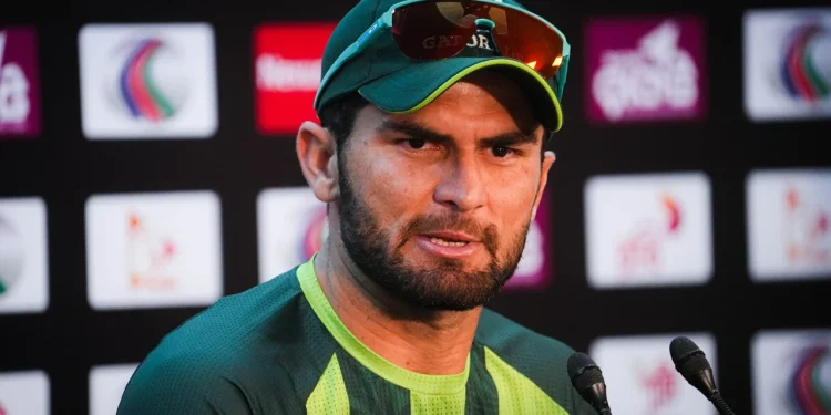 তরুণদের জন্য নতুন সুযোগ দেখছেন শাহিন শাহ