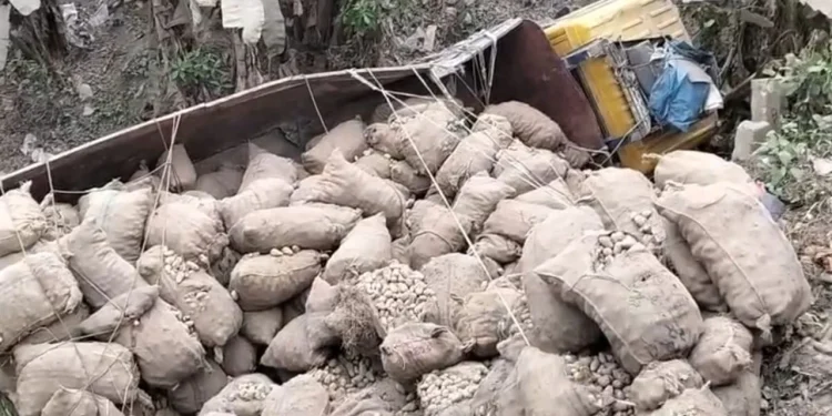 রাজবাড়ীতে আলুভর্তি ট্রাক উল্টে চালক নিহত